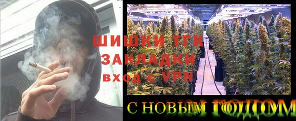 молекула духа Абинск