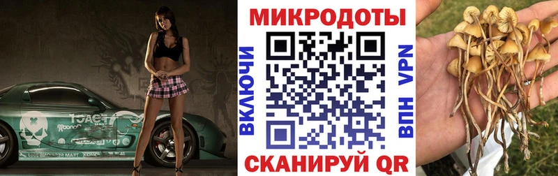 магазин    Микунь  kraken tor  Галлюциногенные грибы Psilocybine cubensis 